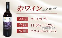 【福井県あわら市産】ふくいワイン【赤】 1本 / ワイン ワイナリー 赤ワイン ライトボディ ぶどう 葡萄 ふくいワイン ブランド フルーティー なめらか 人気 おすすめ プレゼント 贈り物 福井県 あわら市