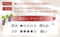 【福井県あわら市産】ふくいワイン【赤】 1本 / ワイン ワイナリー 赤ワイン ライトボディ ぶどう 葡萄 ふくいワイン ブランド フルーティー なめらか 人気 おすすめ プレゼント 贈り物 福井県 あわら市