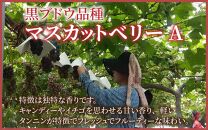 【福井県あわら市産】ふくいワイン【赤】 1本 / ワイン ワイナリー 赤ワイン ライトボディ ぶどう 葡萄 ふくいワイン ブランド フルーティー なめらか 人気 おすすめ プレゼント 贈り物 福井県 あわら市