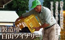 【福井県あわら市産】ふくいワイン【赤】 1本 / ワイン ワイナリー 赤ワイン ライトボディ ぶどう 葡萄 ふくいワイン ブランド フルーティー なめらか 人気 おすすめ プレゼント 贈り物 福井県 あわら市