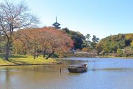  [和装着付×写真撮影]四季折々の表情が楽しめる名勝庭園「三溪園」を撮影地に、和装で楽しむ写真撮影プラン