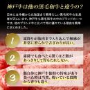 A5等級神戸牛（神戸ビーフ）煮込み用 スネ肉 500g ［神戸牛専門店 神戸ぐりる工房］