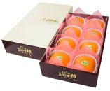 佐渡産特選おけさ柿&nbsp;特秀2L&nbsp;8玉&nbsp;化粧箱入