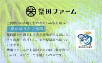 【湖魚と共に育ったお米】令和6年産（新米）滋賀県産魚のゆりかご水田米「きらみずき」白米5kg【柴田ファーム】