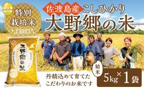 【令和６年産新米】佐渡島産 特別栽培米こしひかり「大野郷の米」 精米5kg×１袋