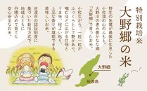 【令和６年産新米】佐渡島産 特別栽培米こしひかり「大野郷の米」 精米5kg×１袋