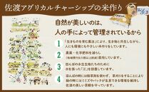 【令和６年産新米】佐渡島産 特別栽培米こしひかり「大野郷の米」 精米5kg×１袋