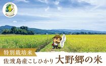 【令和６年産新米】佐渡島産 特別栽培米こしひかり「大野郷の米」 精米5kg×１袋