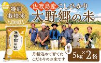 【令和６年産新米】佐渡島産 特別栽培米こしひかり「大野郷の米」精米5kg×2袋