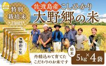 【令和６年産新米】佐渡島産 特別栽培米こしひかり「大野郷の米」精米5kg×4袋