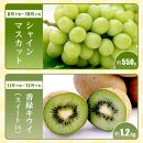 【全6回】旬のフルーツ定期便