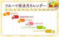 【全6回】極みのフルーツ定期便&nbsp;(化粧箱入り)