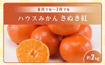 【全3回】極みのフルーツ定期便 (化粧箱入り)