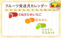 【全3回】極みのフルーツ定期便&nbsp;(化粧箱入り)