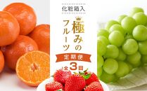 【全3回】極みのフルーツ定期便&nbsp;(化粧箱入り)
