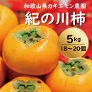 カキエモン農園の紀の川柿 約5kg 18 ～ 20個【9月下旬～11月末頃発送】