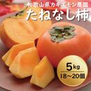 カキエモン農園のたねなし柿 約5kg 18 ～ 20個【9月下旬～10月末頃発送】