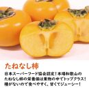 カキエモン農園のたねなし柿 約5kg 18 ～ 20個【9月下旬～10月末頃発送】