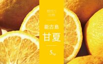 ＜先行受付：2025年4月以降発送＞福岡県　能古島産　甘夏5kg