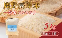 【先行予約】鹿野高原米 コシヒカリ 5 kg 令和7年産 精米