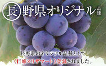 【先行予約】2026&nbsp;ナガノパープル&nbsp;【訳あり&nbsp;粒抜け等】　房複数　約1kg弱　長野県産&nbsp;&nbsp;【10月初旬頃～順次発送予定】国際特許有機肥料栽培｜&nbsp;ナガノパープル&nbsp;ぶどう&nbsp;わけあり&nbsp;リピーター多数&nbsp;数量限定&nbsp;フルーツ&nbsp;大粒&nbsp;人気&nbsp;おすすめ&nbsp;葡萄&nbsp;ギフト&nbsp;送料無料&nbsp;長野県&nbsp;大町市