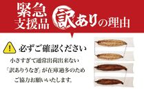 【緊急支援品】鹿児島県大隅産　千歳鰻の白焼1尾・蒲焼き1尾　合計2尾セット（1尾110g～130g）