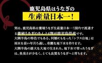 【緊急支援品】鹿児島県大隅産　千歳鰻の白焼1尾・蒲焼き1尾　合計2尾セット（1尾110g～130g）