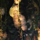 琉球紅型の柄生まれたモノトーン・カシュクールドレス（セミオーダー商品）｜沖縄　那覇市　ファッション 服  衣料 トップス 人気 小物 ストール マフラー ハンカチ スカーフ