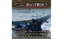 羅臼産 折うに （上） 120g （120g×1枚）北海道知床羅臼産 天然 エゾバフンうに