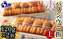 羅臼産 折うに（上） 240g （120g×2枚） 北海道 知床 羅臼産 天然 エゾバフンうに