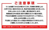 北海道知床羅臼産 天然エゾバフンうに（中）うに折  120g×2枚　2025年1月中旬から発送