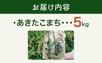 【白米】＜令和6年産＞秋田県大仙市産 あきたこまち 5kg