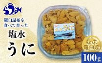 天然 エゾバフンうに （中）塩水うに 100g（100g×1枚）2025年1月中旬から発送ミョウバン不使用 北海道産 知床羅臼産