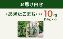 【白米】＜令和6年産＞秋田県大仙市産 あきたこまち 10kg