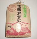 【令和６年産（新米）】精米「ミネアサヒ」５ｋｇ ※豊田産、山間部生産品（希少品）