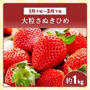 【全4回】厳選さぬき讃フルーツ定期便