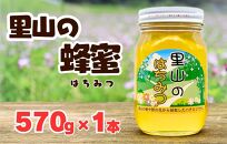 ありだ里山の蜂蜜 570g 化粧箱入り