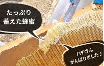 ありだ里山の蜂蜜 570g 化粧箱入り