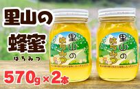 ありだ里山の蜂蜜 570g×2本セット 化粧箱入り