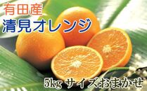 和歌山の春のフルーツ（ポンカン・清見オレンジ・セミノールオレンジ）定期便 全3回 【2月・3月・4月発送】【TM184】