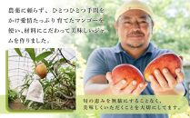 マンゴージャム　1個（140ｇ）