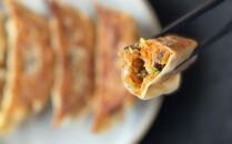 神戸ポークとキムチの焼き餃子　24個