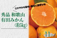 【定期便全3回】産直・和歌山フルーツ定期便（桃・ピオーネ・有田みかん）