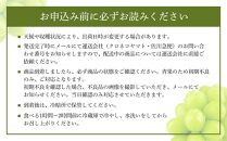 【2025年7月以降発送】岡山県産 シャインマスカット 晴王 1房 約600g 種無し 皮ごと食べる フレッシュ 先行受付