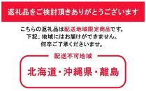 【定期便 全2回／2025年7月・8月発送】岡山県産 シャインマスカット 晴王 1房 約600g 2回定期便　7月・8月に１回づつ出荷　種無し 皮ごと食べる フレッシュ 先行受付