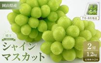 【定期便 全2回／2025年7・8月発送】岡山県産 シャインマスカット 晴王 2房 約1.2kg 　2回定期便　7月・8月に１回づつ出荷　種無し 皮ごと食べる フレッシュ 先行受付　ハレノフルーツ