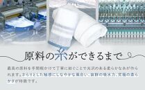 【糸から国産】信濃大町さらしなタオル (バスタオル)　2枚