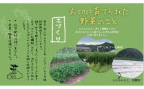 【農薬・化学肥料不使用】旬のお野菜おまかせセット 6～7品