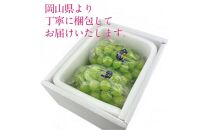 [HS]【定期便&nbsp;全2回】ぶどう&nbsp;2026年&nbsp;&nbsp;9月・10月発送&nbsp;シャイン&nbsp;マスカット&nbsp;晴王&nbsp;2房（合計約1.3kg）&nbsp;&nbsp;|&nbsp;シャインマスカット&nbsp;シャイン&nbsp;マスカット&nbsp;果物&nbsp;フルーツ&nbsp;新鮮&nbsp;ブドウ&nbsp;葡萄&nbsp;&nbsp;岡山&nbsp;国産&nbsp;ギフト&nbsp;おすすめ&nbsp;人気