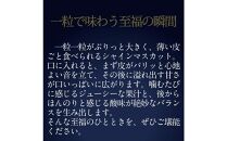 [HS]ぶどう&nbsp;2026年&nbsp;&nbsp;9月・10月発送&nbsp;最高級品シャイン&nbsp;マスカット&nbsp;晴王&nbsp;2房&nbsp;〈合計約1.4kg〉&nbsp;|&nbsp;シャインマスカット&nbsp;シャイン&nbsp;マスカット&nbsp;果物&nbsp;フルーツ&nbsp;新鮮&nbsp;ブドウ&nbsp;葡萄&nbsp;&nbsp;岡山&nbsp;国産&nbsp;ギフト&nbsp;おすすめ&nbsp;人気